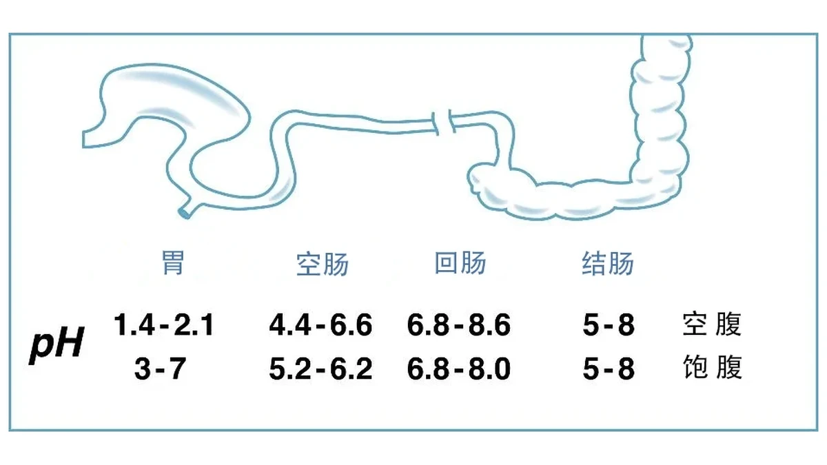 logP 与 logD 区别文章封面