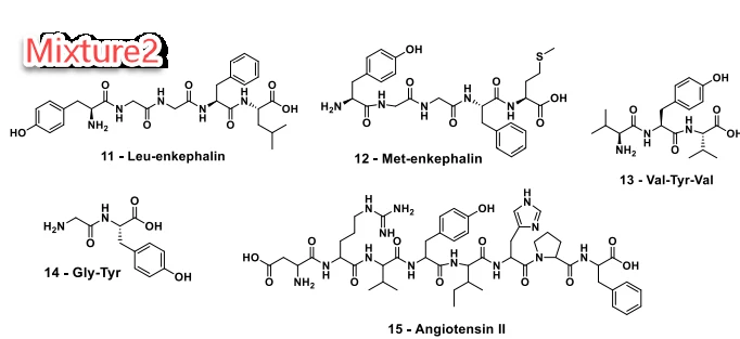 离子色谱筛选系统结合计算机建模用于生物药方法开发 界面