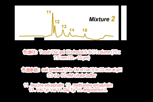 离子色谱筛选系统结合计算机建模用于生物药方法开发 界面