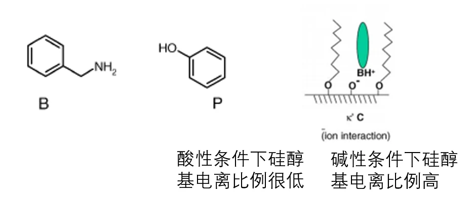 色谱柱的相关知识：从参数到选择依据 界面