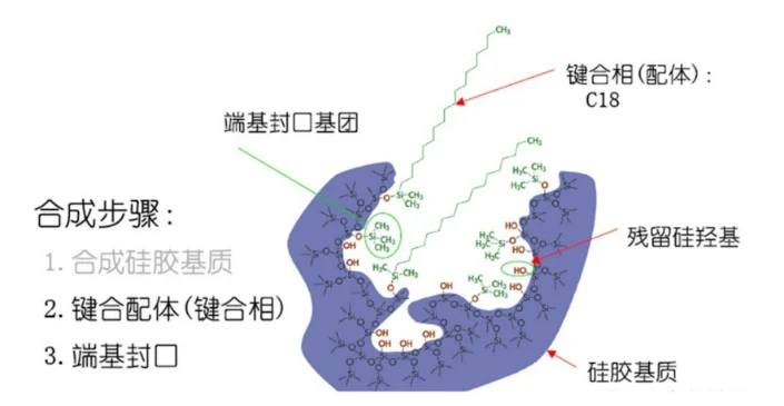 色谱柱的相关知识：从参数到选择依据 界面
