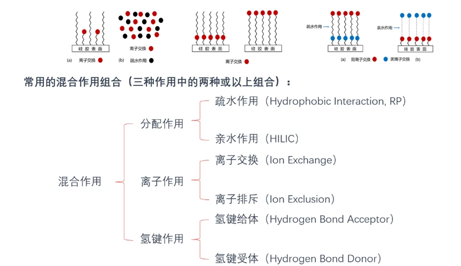 色谱柱的相关知识：从参数到选择依据 界面
