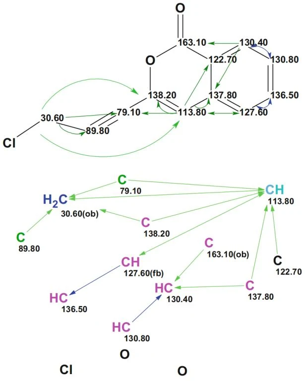 图2.3 基于gymnopalyne 的1H、13C、HSQC、HMBC 和COSY 光谱数据生成的分子连接图