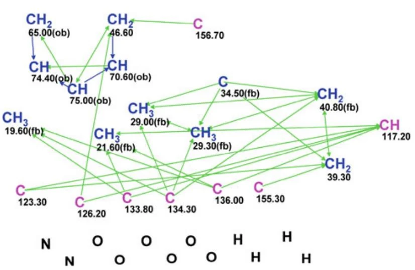 图4.31 Hunanamycin A：经过轻微编辑的分子连接图（MCD）