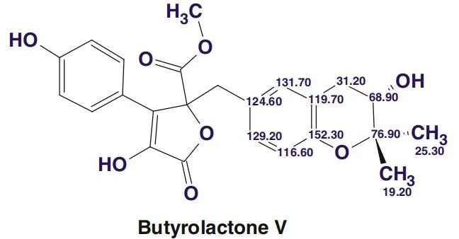 图4.43 Asperjinone：修正结构4.33 与Butyrolactone V 的化学位移对比