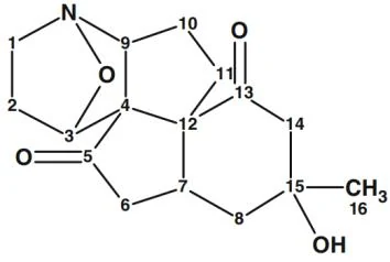 教材配图