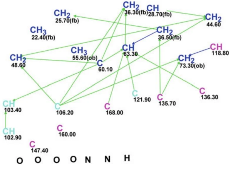 图4.60 10-Methoxygeissospermidine：分子连接图