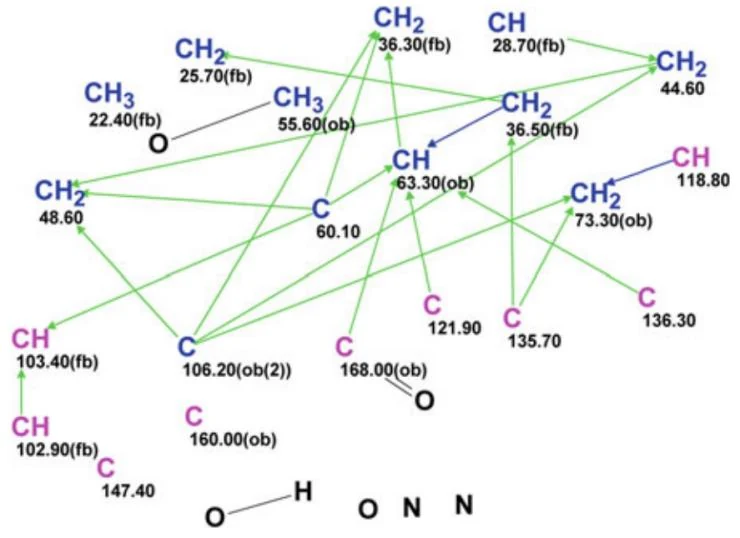 图4.61 10-Methoxygeissospermidine：编辑后的分子连接图