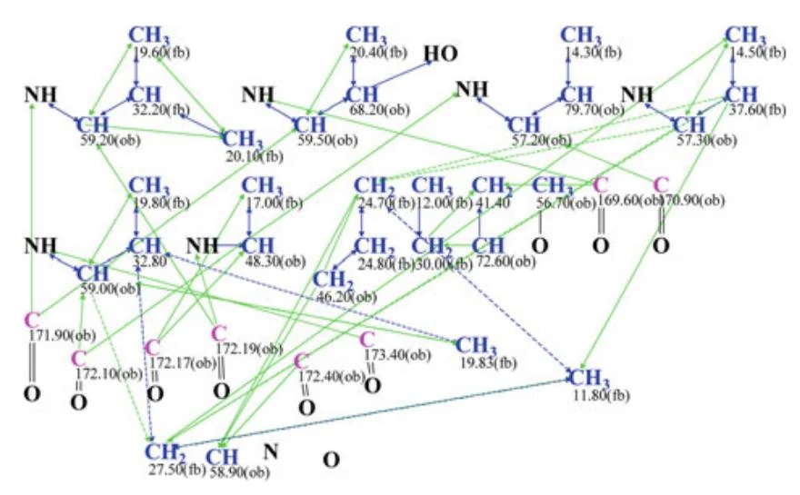 图4.64 Peptidolipin B：编辑后的分子连接图