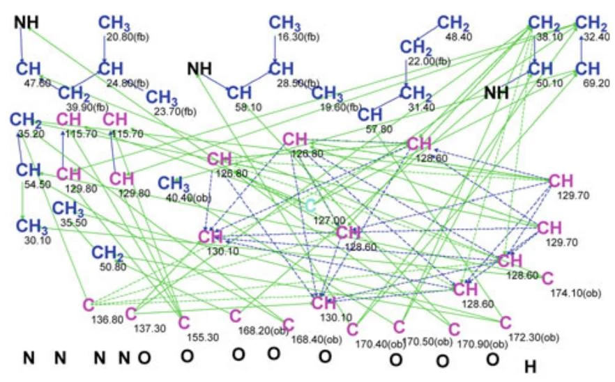 图4.67 Cordyheptapeptide C：分子连接图