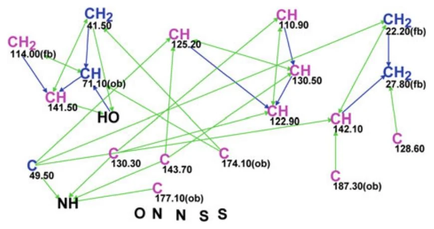 图4.77 Indole alkaloid：稍作编辑后的分子连接图（MCD）