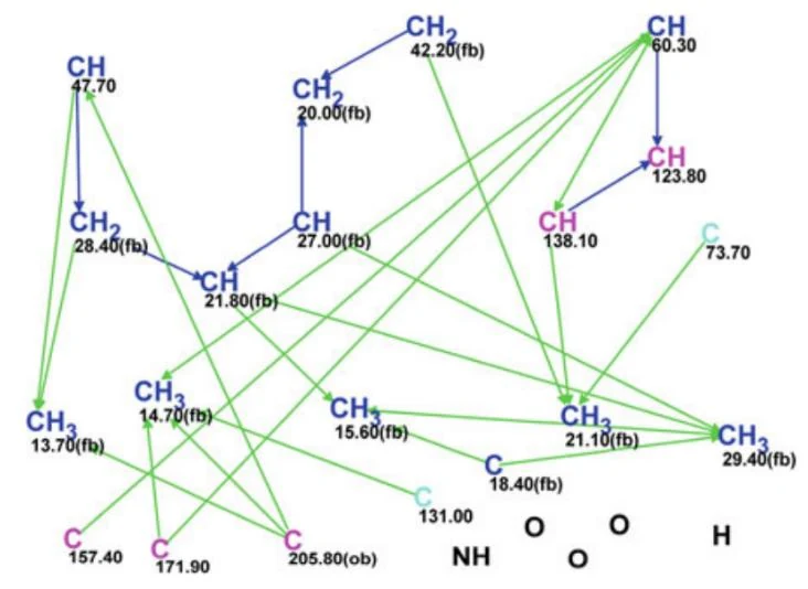 图5.61 Jatrophalactam：分子连接图（MCD）