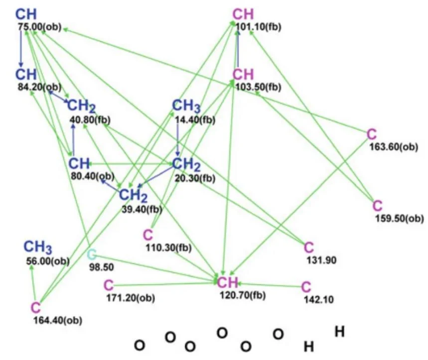 图5.74 Lasionectrin：稍作编辑后的分子连接图（MCD）