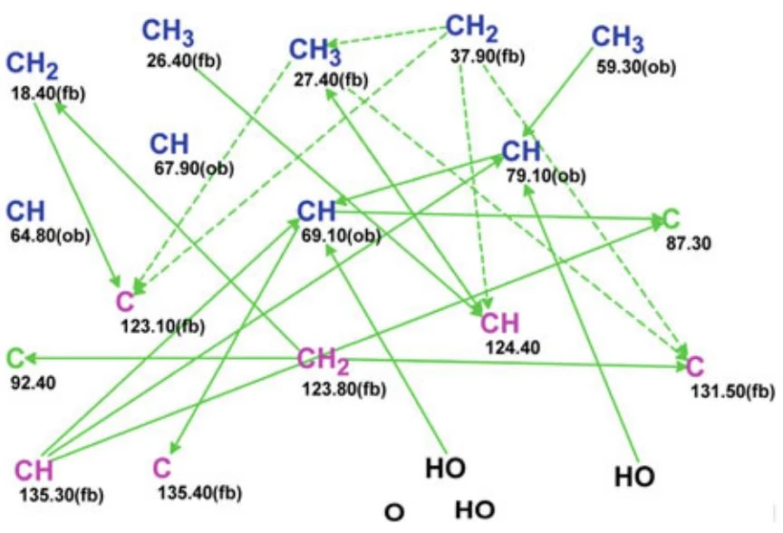 图5.81 Phomentrioloxin：编辑后的分子连接图（MCD）。sp 杂化的碳原子以绿色标记