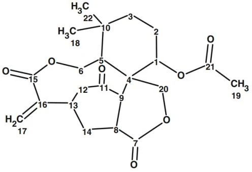 教材配图