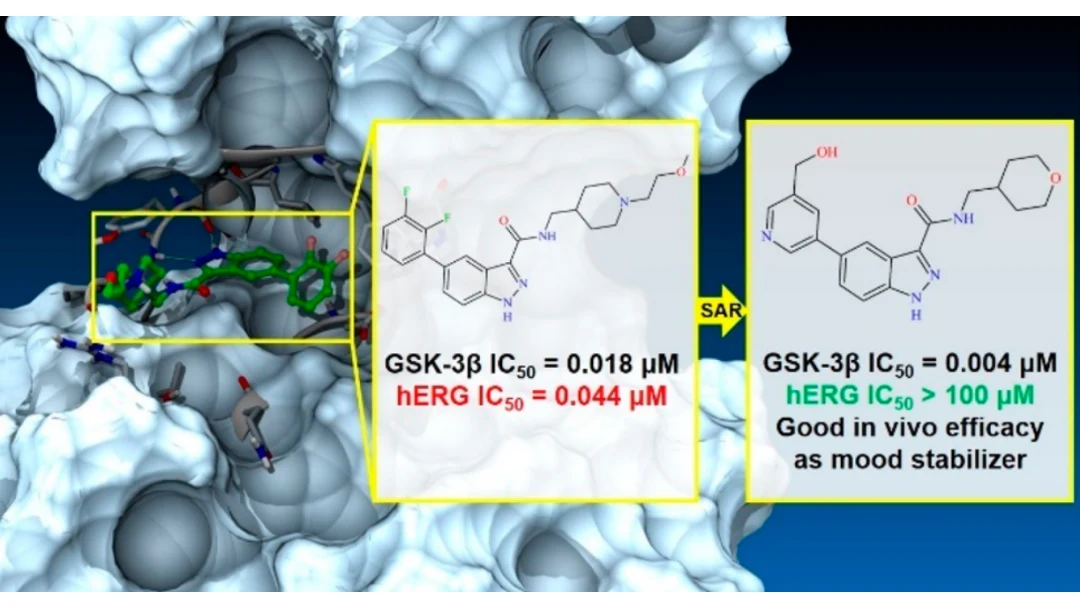 hERG 先导化合物优化案例配图（GSK-3β 抑制剂毒性优化前后对比）
