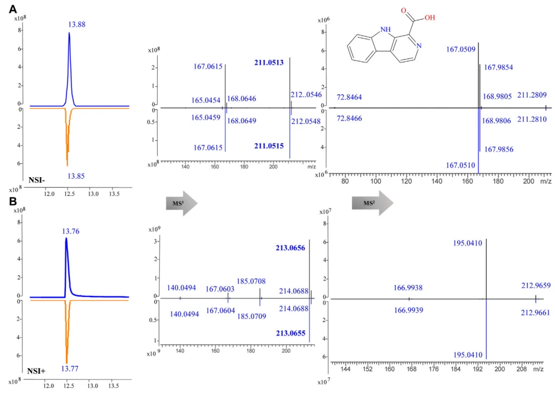 β-carboline-1-carboxylic acid 在正负离子模式下的 MS1 与 MS2 谱图比对