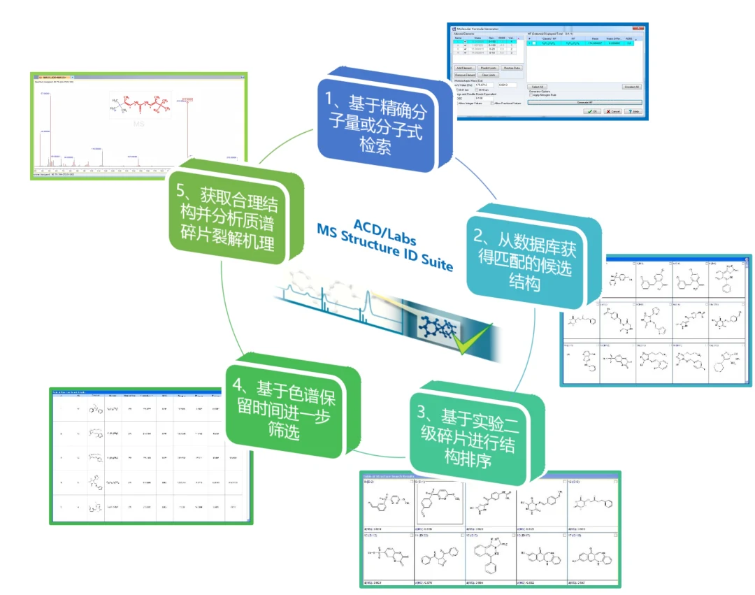 MS Structure ID Suite 功能示意图