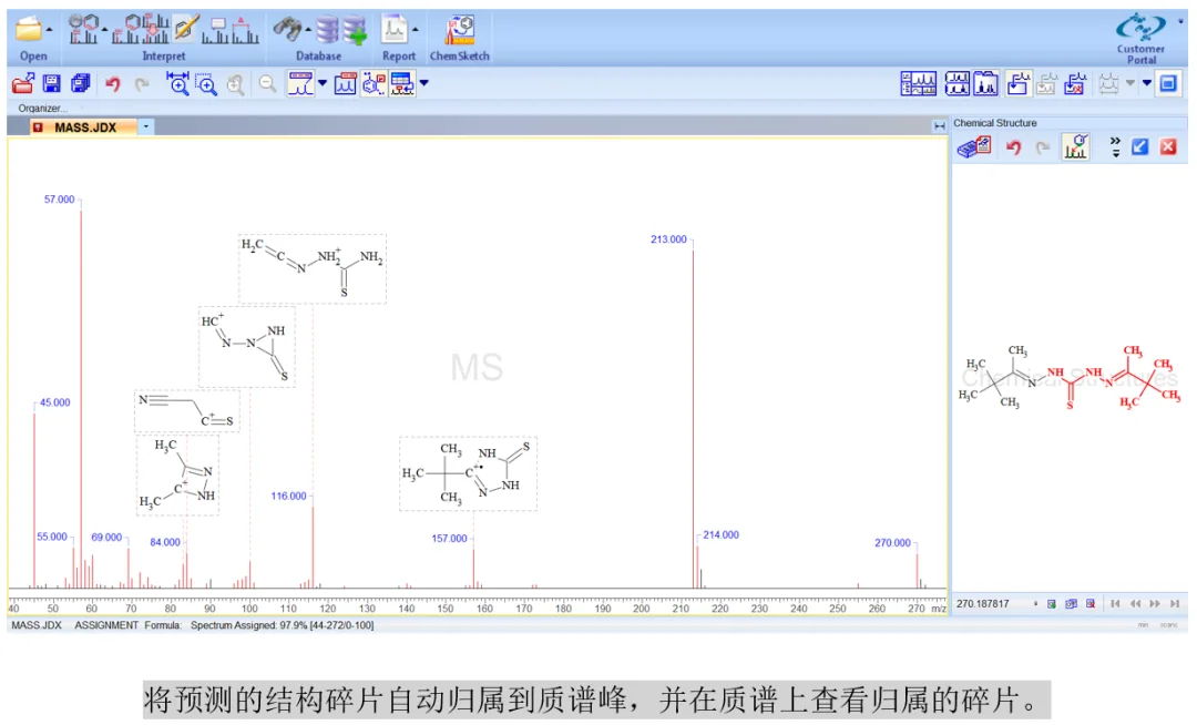 MS Workbook Suite 报告与导出界面