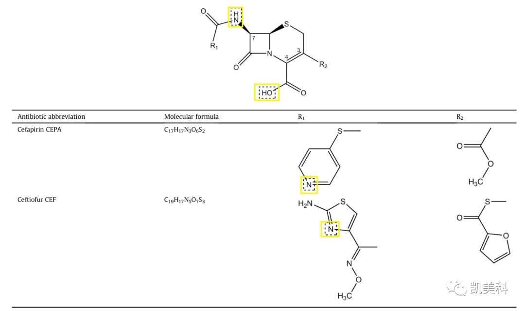头孢匹林和头孢噻呋的化学结构与预期电离中心