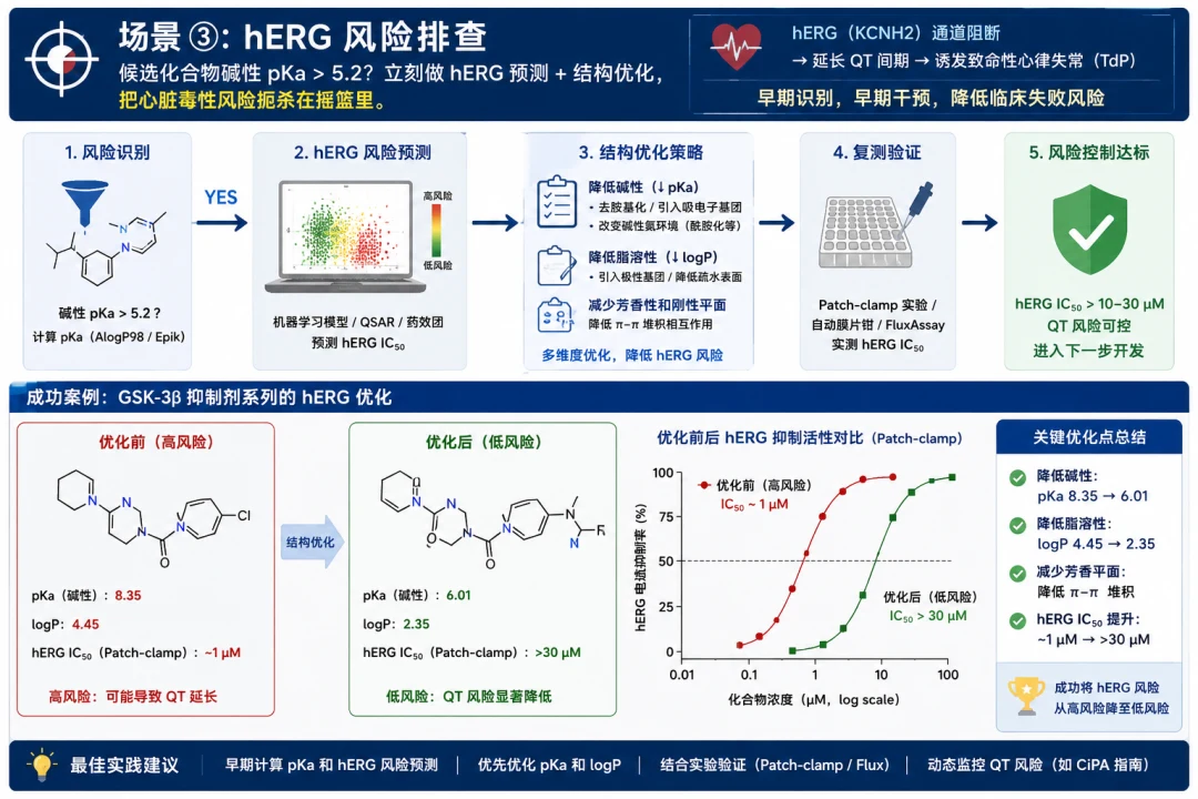 场景三：hERG 风险排查与结构优化工作流示意