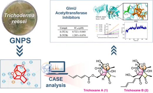 Trichoxanes A 与 B:分子网络导向发现的笼状 sorbicillinoid 类新骨架