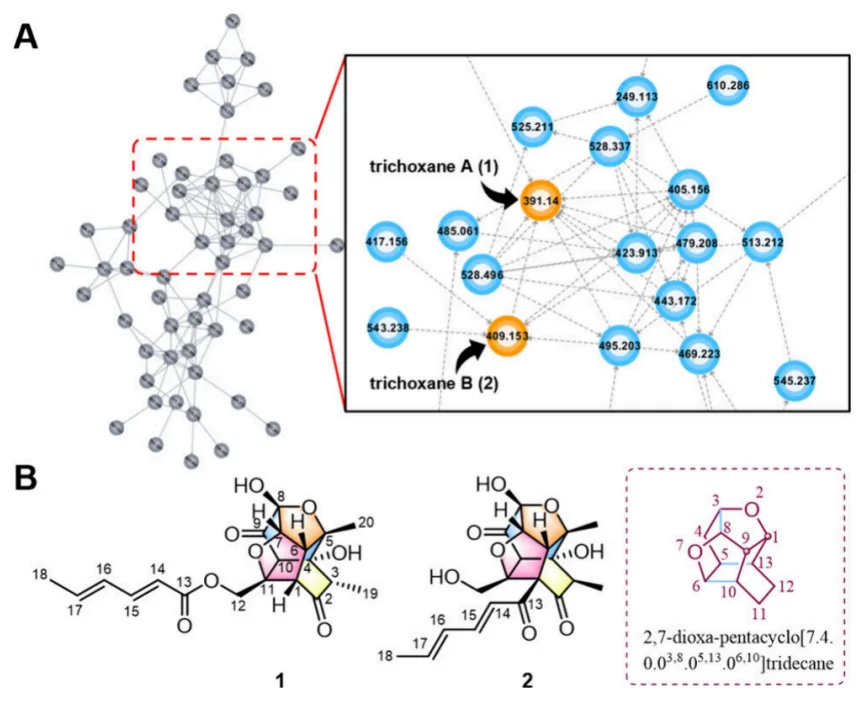 Trichoxanes A 与 B:分子网络导向发现的笼状 sorbicillinoid 类新骨架