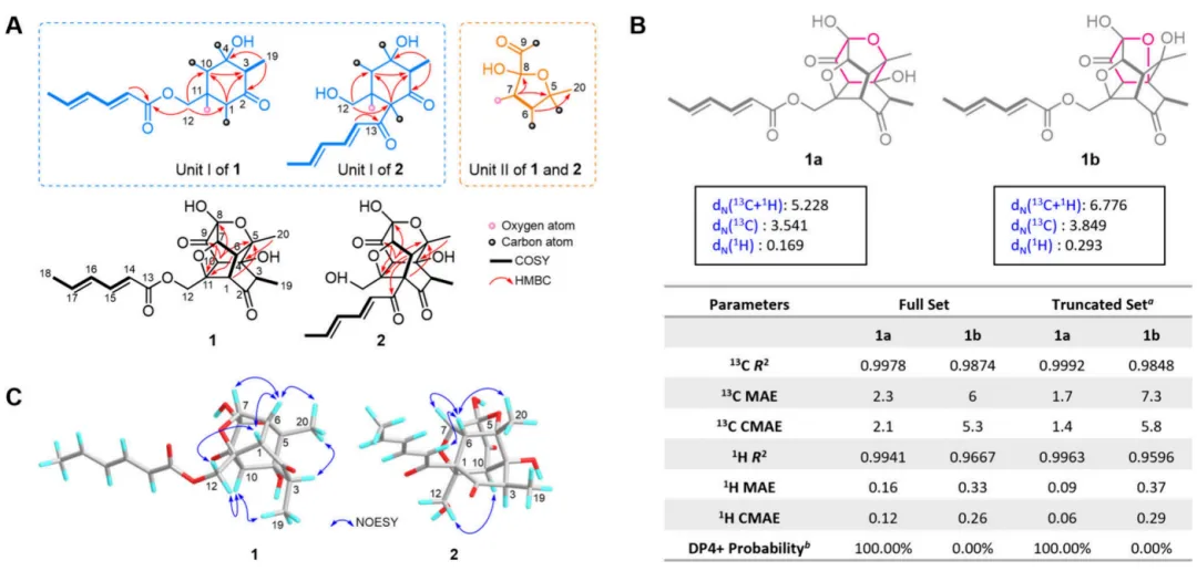 Trichoxanes A 与 B:分子网络导向发现的笼状 sorbicillinoid 类新骨架