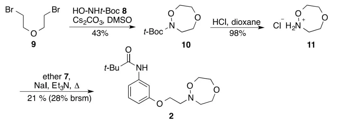 Scheme 2