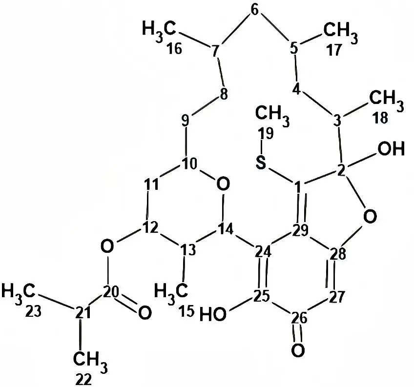 运用 Structure Elucidator 辅助解析疣孢菌素 C 的结构