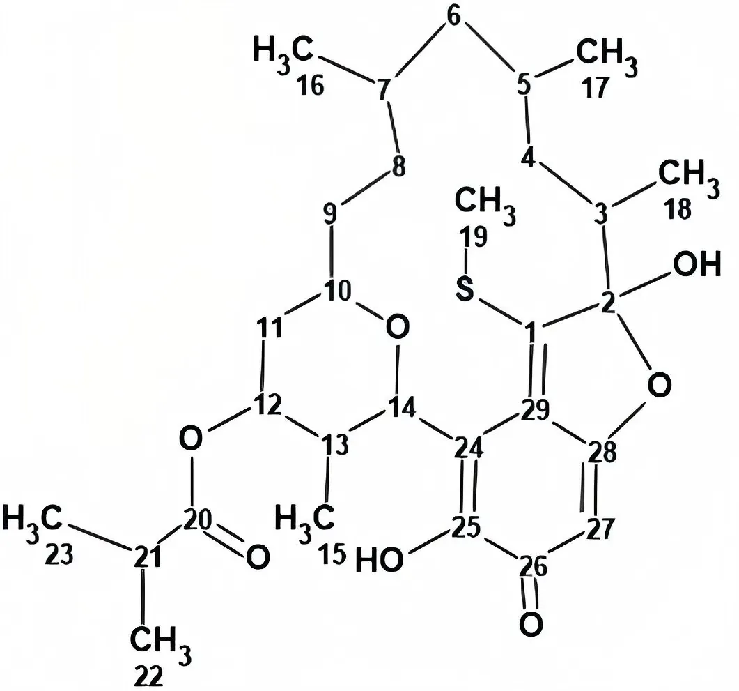 运用 Structure Elucidator 辅助解析疣孢菌素 C 的结构