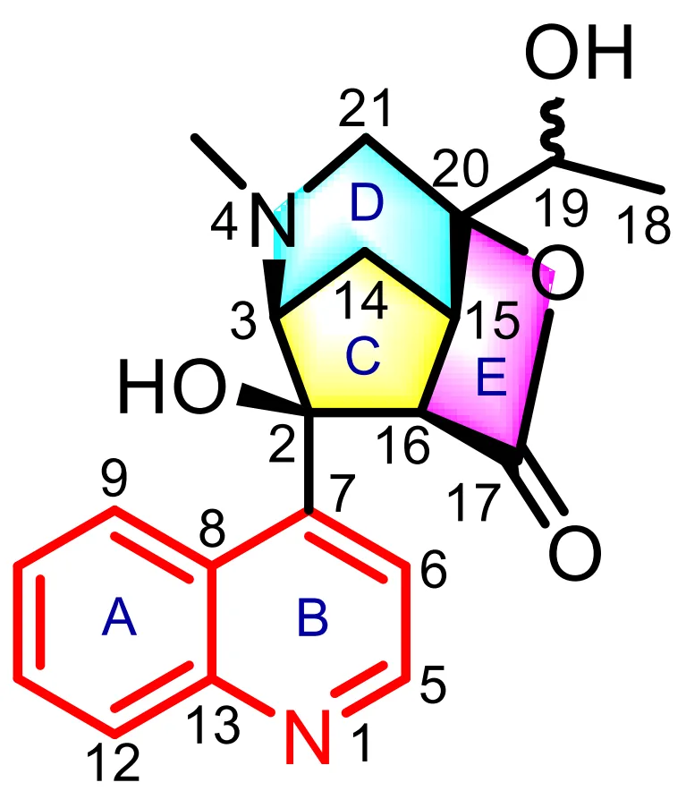 将化合物1的分子式(C₁₂H₁₂O₅)和NMR数据输入后,ACD/SE作为一个专家系统,自动生成分子连接图,并从41,537个可能的结构中筛选出7个最合理的候选结构。