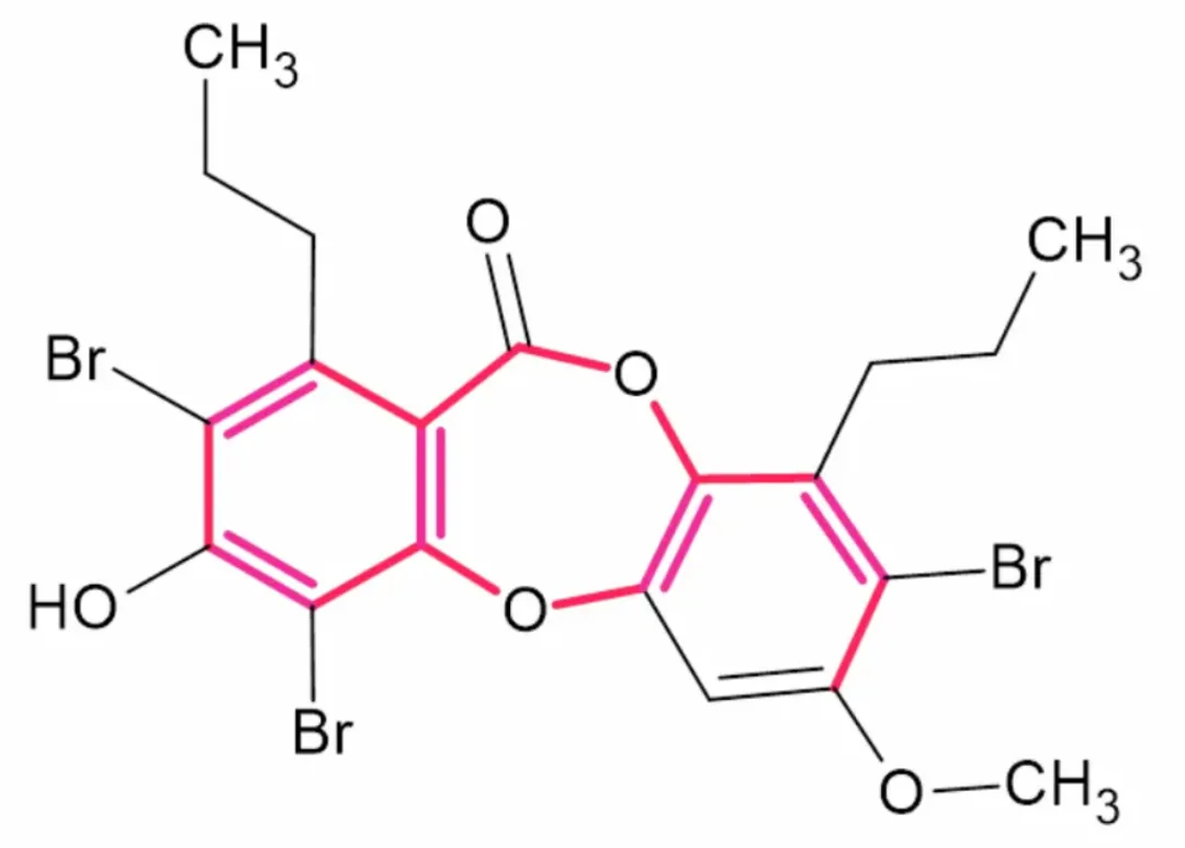卤代天然产物 Spiromastixone Z4 的计算机辅助结构解析 · CASE 技术专题 · 凯美科