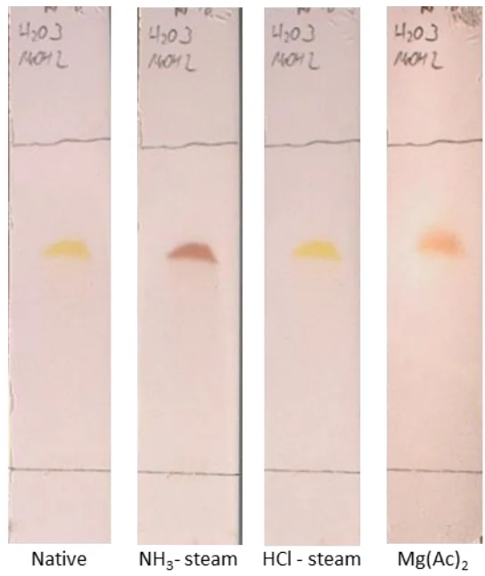 图 S1 lumnitzeralactone（1）的 Bornträger 反应薄层色谱（TLC）图；固定相：RP18，展开剂体系：水 - 甲醇（体积比 3:2）
