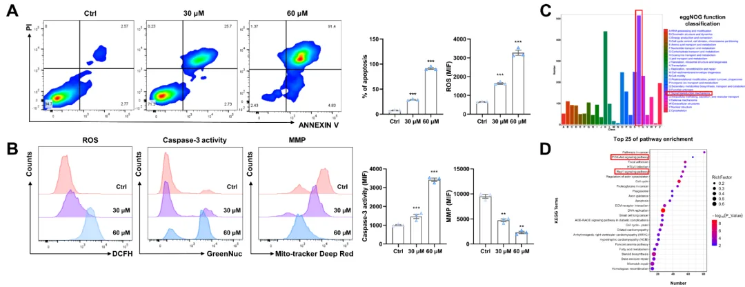 Indopexines A 和 B:源自真菌 Aspergillus sp. TJ507 的异吲哚啉生物碱