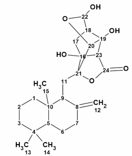 计算机辅助解析天然产物 Herqupenoid A 的结构 · CASE 技术专题 · 凯美科