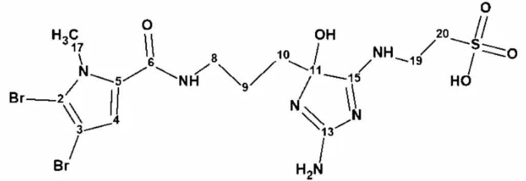 海洋天然产物 mauritamide B 的结构修正 · CASE 技术专题 · 凯美科