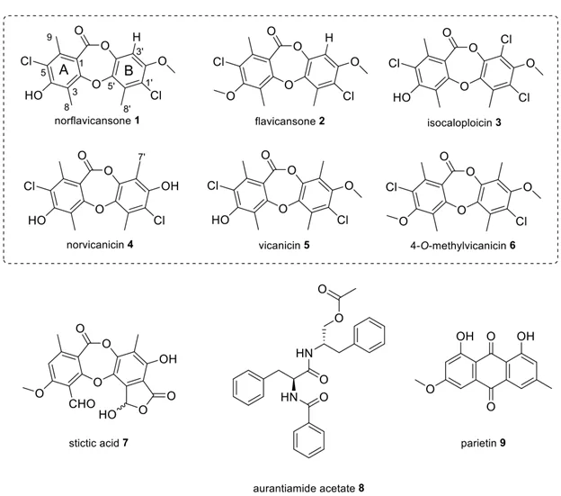 基于 CASE-DFT 的 Chlorodepsidones 结构解析及 Flavicansone 结构修订