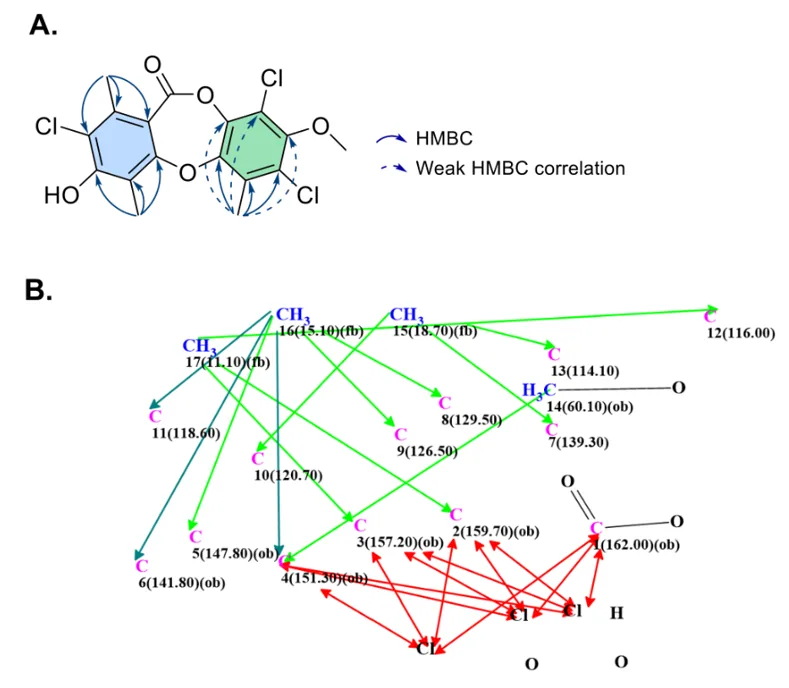 基于 CASE-DFT 的 Chlorodepsidones 结构解析及 Flavicansone 结构修订