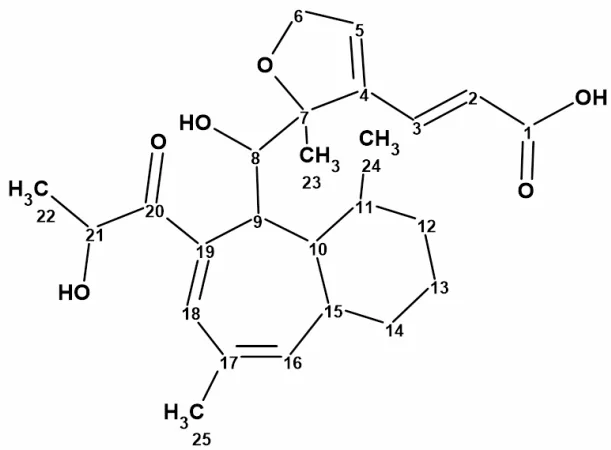 天然产物 Wheldone 的结构修订 · CASE 技术专题 · 凯美科
