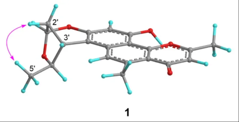 Eleutherlenes A–D:红葱中分离的抗炎萘衍生物