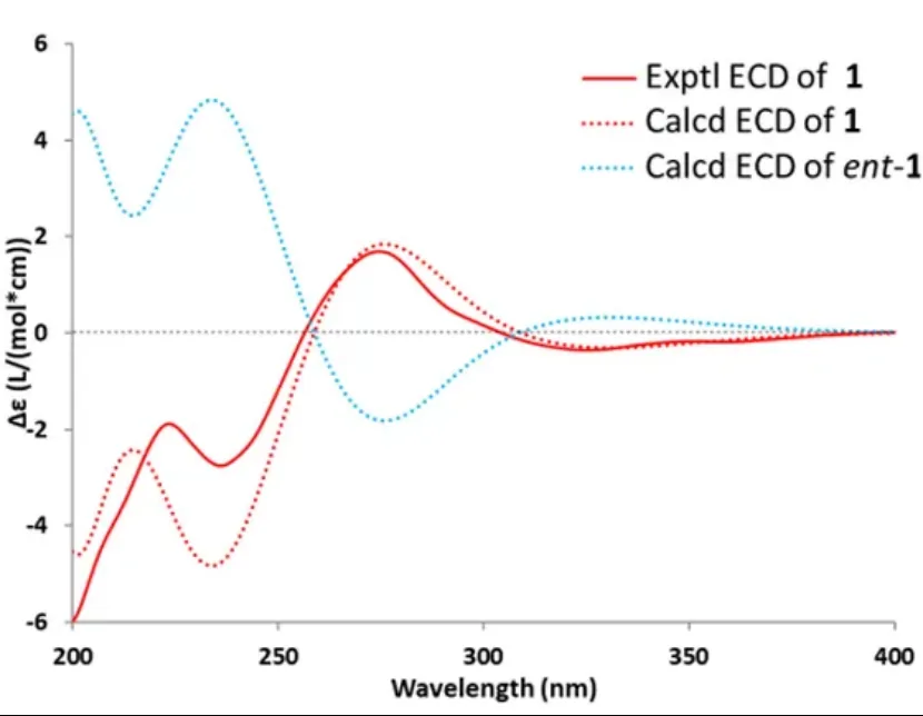 Eleutherlenes A–D:红葱中分离的抗炎萘衍生物