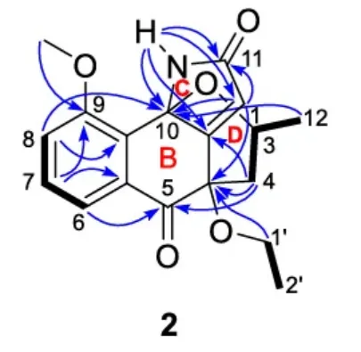 Eleutherlenes A–D:红葱中分离的抗炎萘衍生物