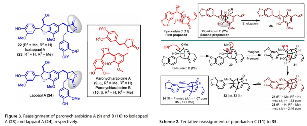 计算机辅助结构解析应用文献及案例汇总:2021—2024