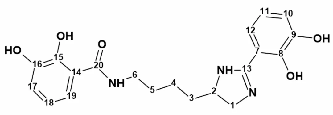 微生物来源天然产物 pseudochelin A 的结构解析