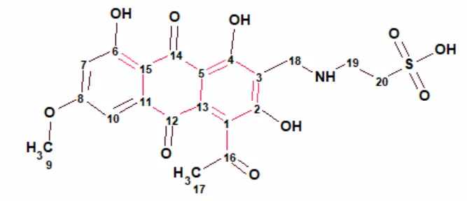 海洋天然产物 Comatulin A 的结构解析