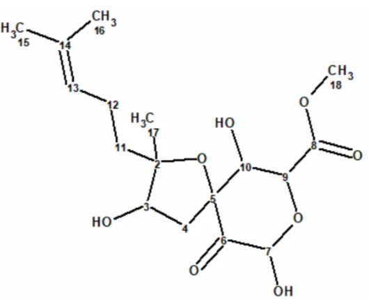 天然产物 Asperspiropene A 的结构修正