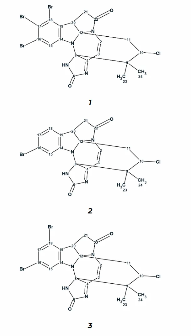 卤代六环吲哚咪唑生物碱 Securamine H 的结构解析