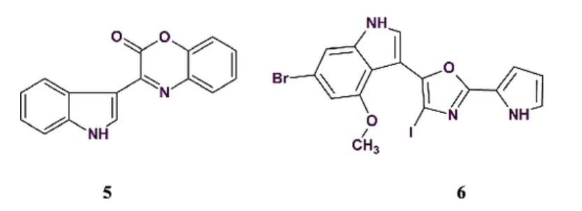 计算机辅助结构解析(CASE):现状和未来展望