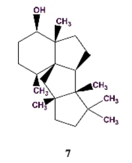 计算机辅助结构解析(CASE):现状和未来展望